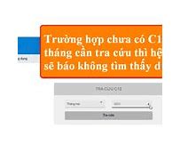 Cách Tra Cứu Kết Quả Đ1Ong Bhxh C12-Ts