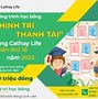 Học Bổng Tài Trợ Ueh Gồm Những Môn Nào Ở Đâu