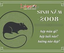 Sinh Tháng 1 Năm 2008 Năm Nay Bao Nhiêu Tuổi