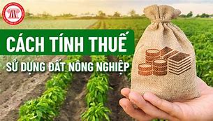 Tra Cứu Nộp Thuế Đất Phi Nông Nghiệp