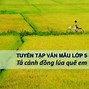 Viết Một Đoạn Văn Tả Cảnh Quê Hương Em Lớp 5 Ngắn Gọn